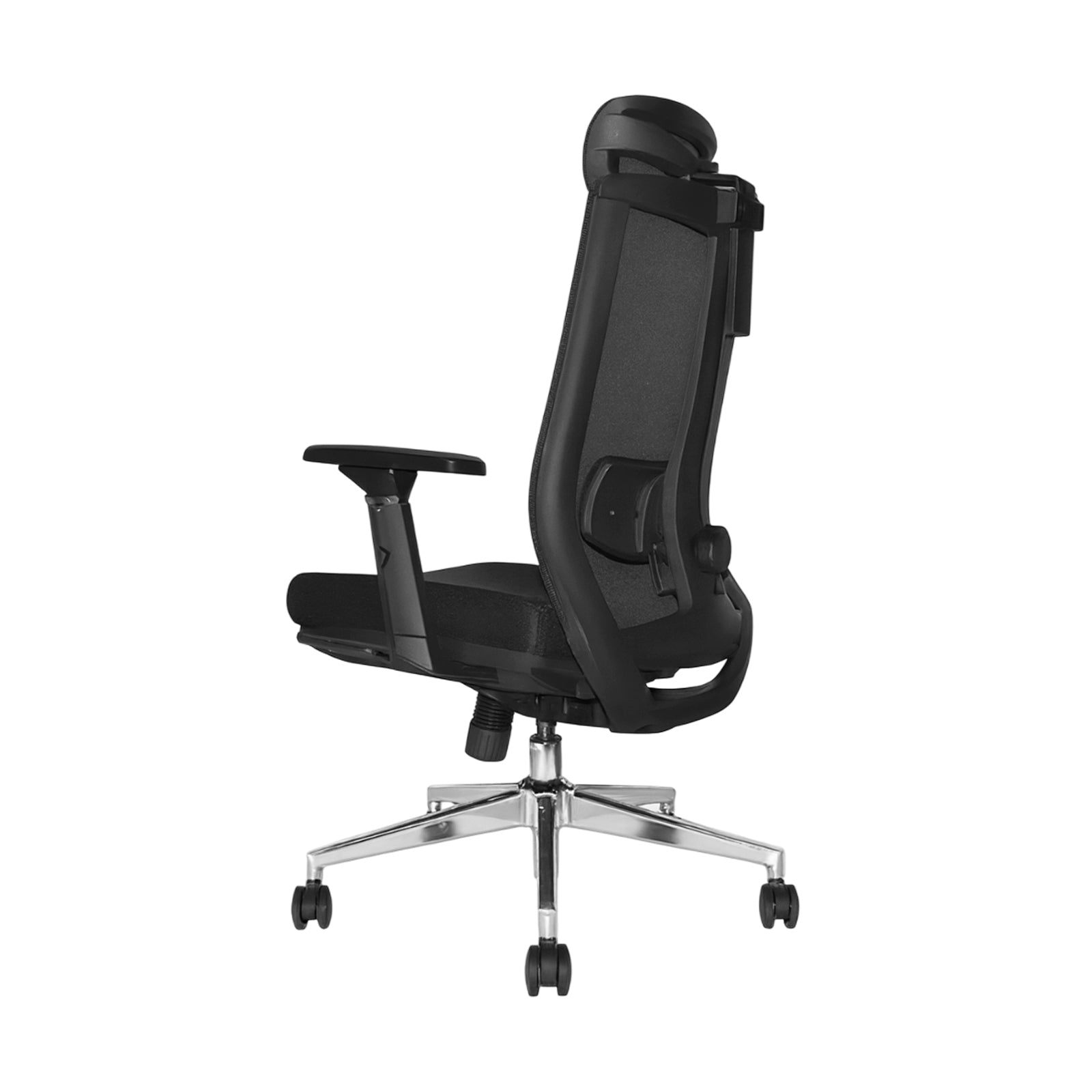AMON PRO A/P