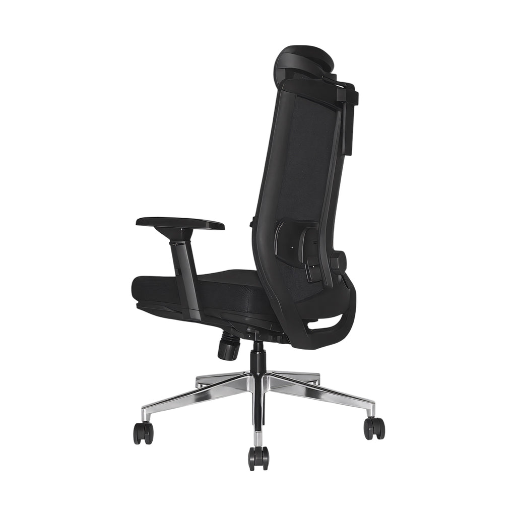 AMON PRO