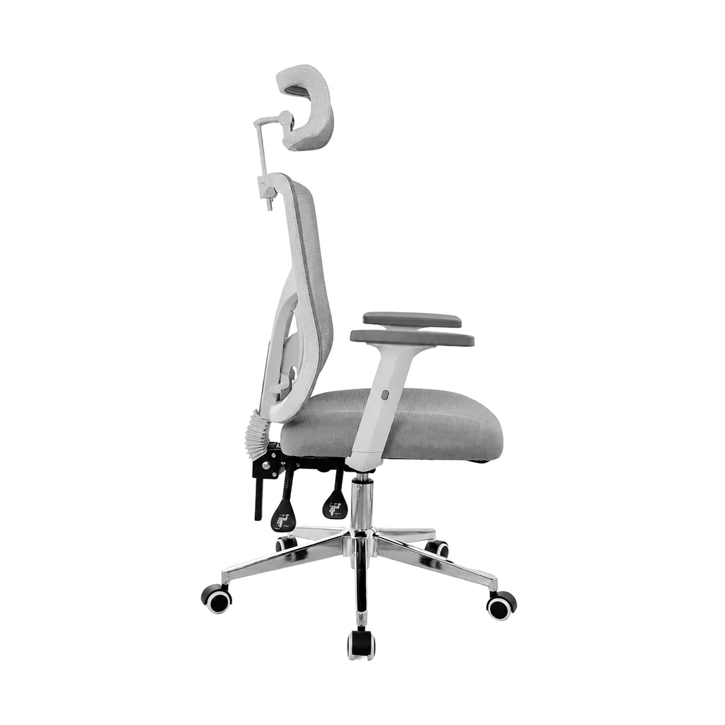 DRACO PRO GRIS