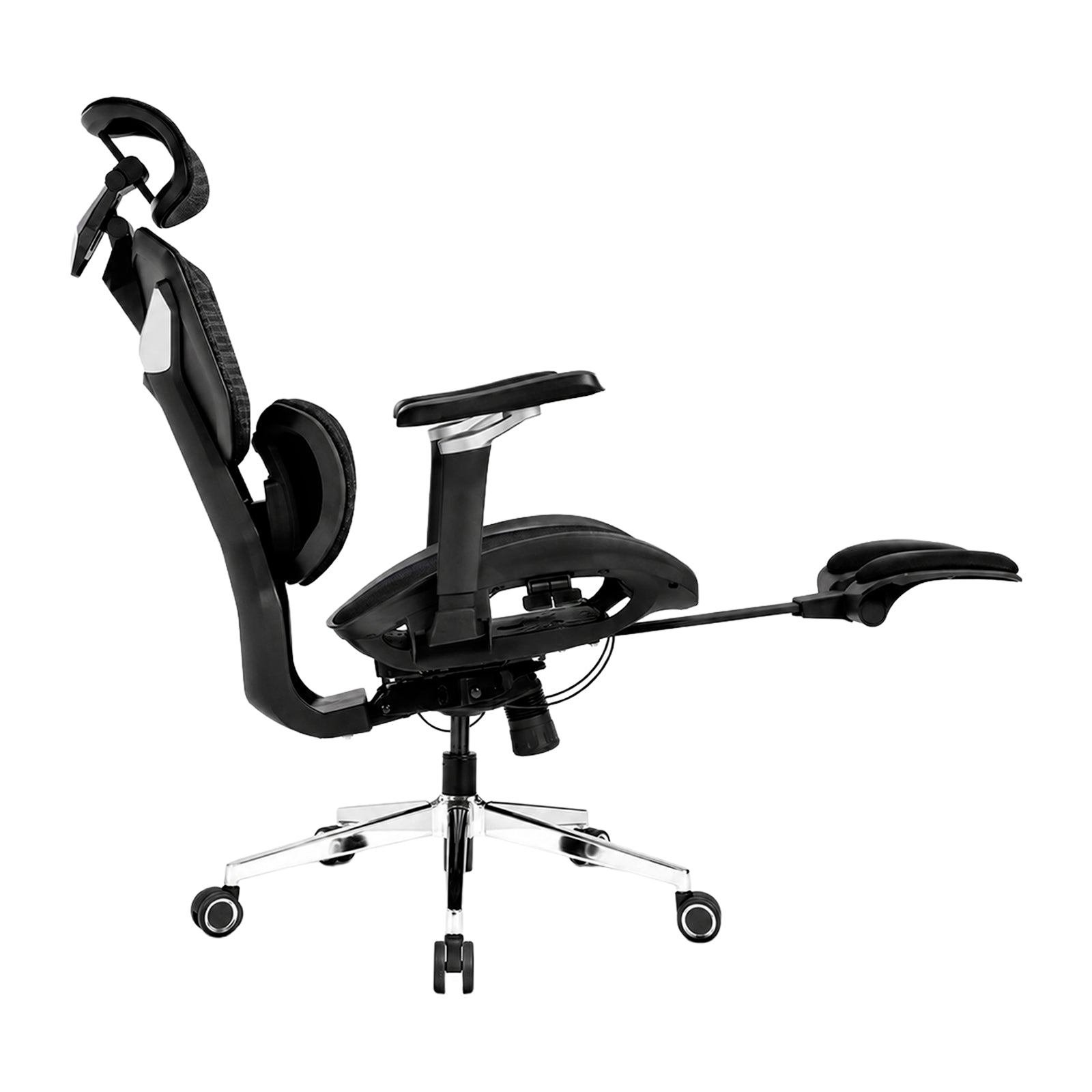 SPECTRUM PRIME FULL MALLA
